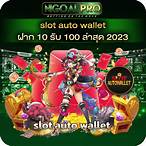 member slot auto wallet